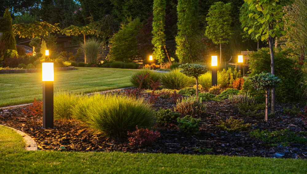 Beautiful landscaping with outdoor lighting