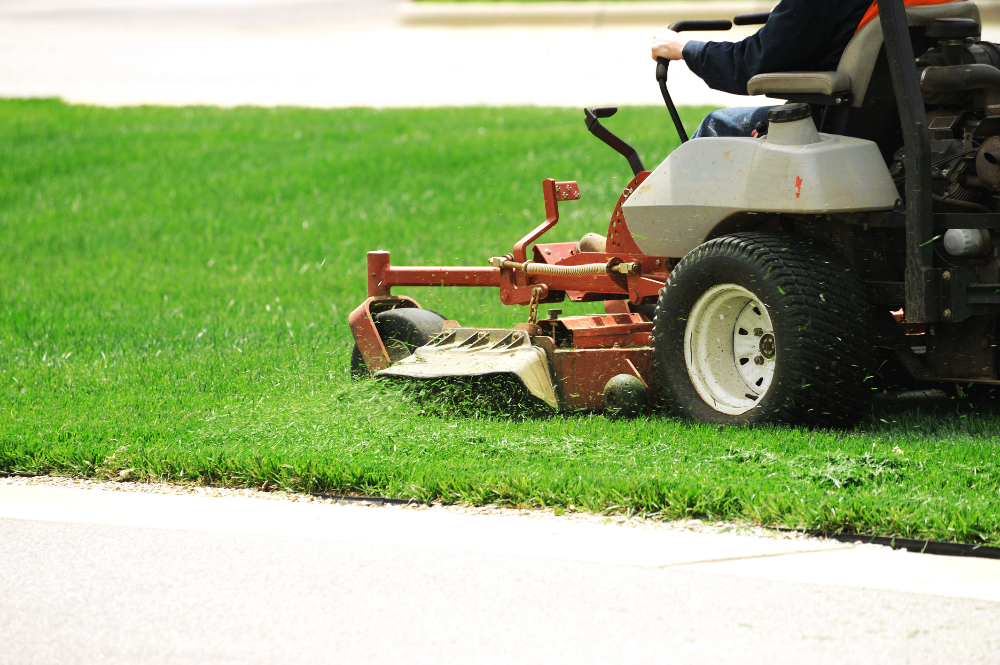 Lawn Mowing service by The Lawn Ranger in Rural Hall, NC