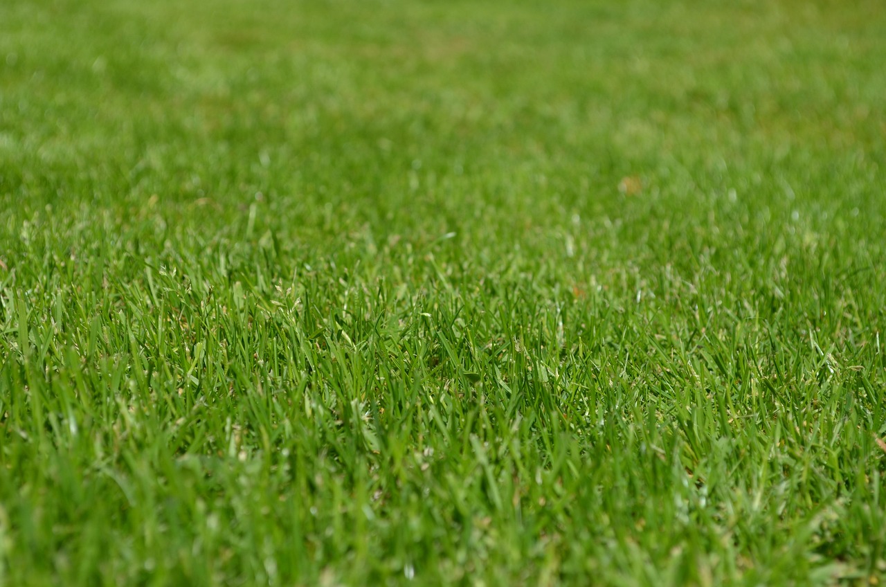 Aeration service by The Lawn Ranger in Rural Hall, NC